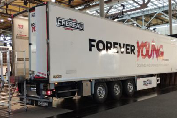 PROGRAMME FOREVER YOUNG