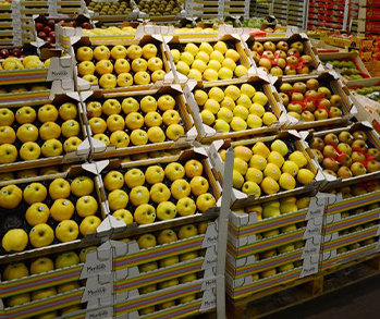 Camión rígido · Frutas y verduras...