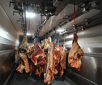 Camión rígido · Carne
